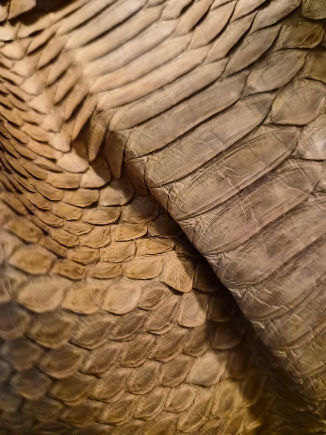 리얼 뱀피 호보빅백 상품이미지2