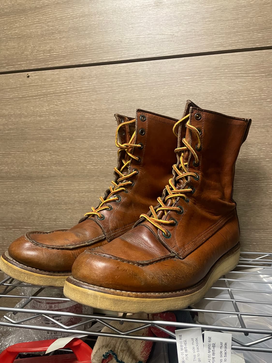 레드윙 아이리쉬세터 상품이미지2