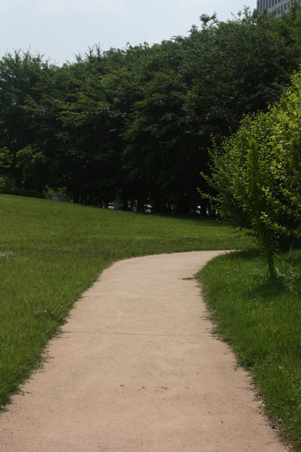 (작례0) Canon EOS 450d (DSLR) 상품이미지7