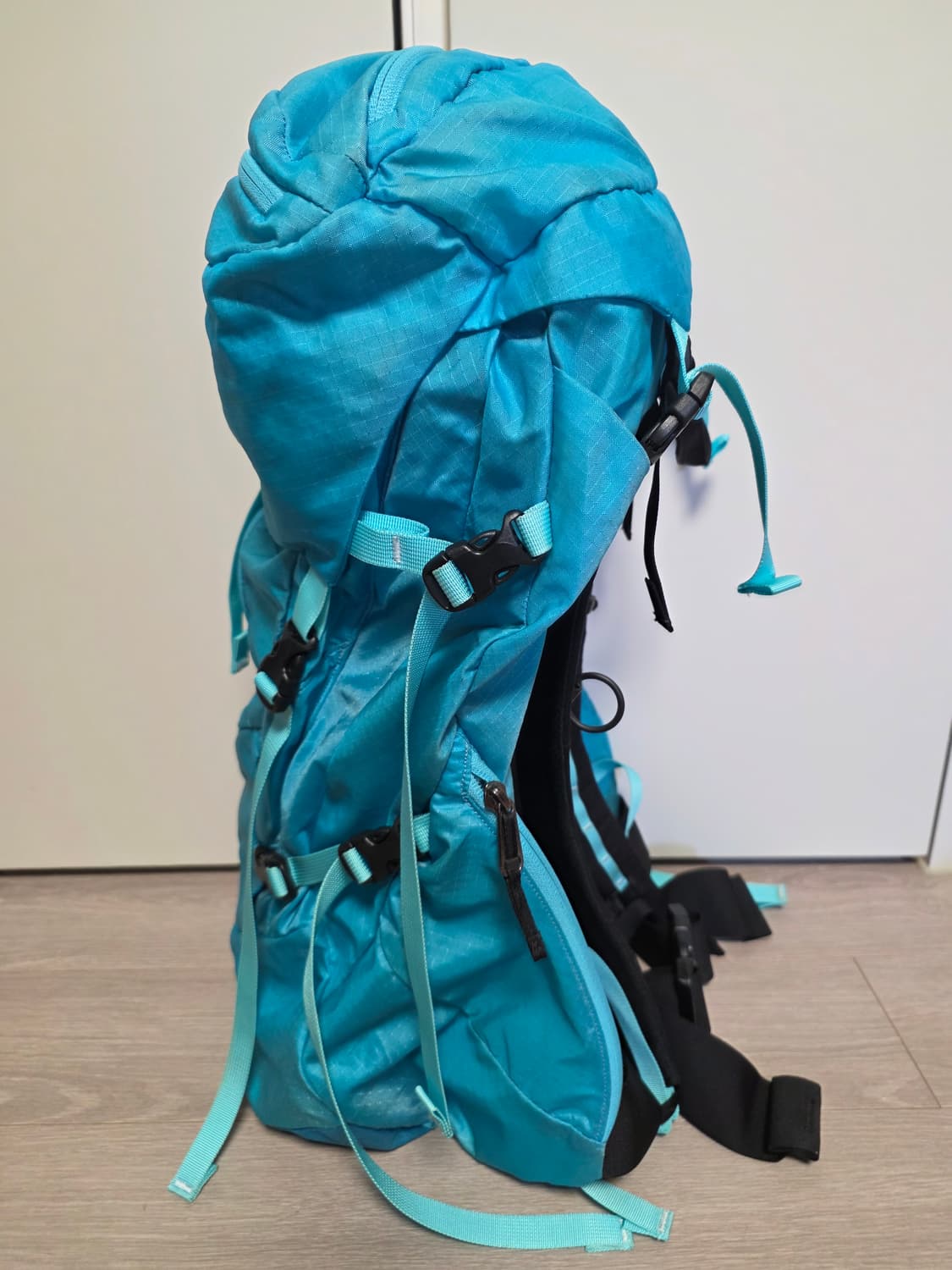 아크테릭스 Altra 33 백팩 Electric Blue

 상품이미지3