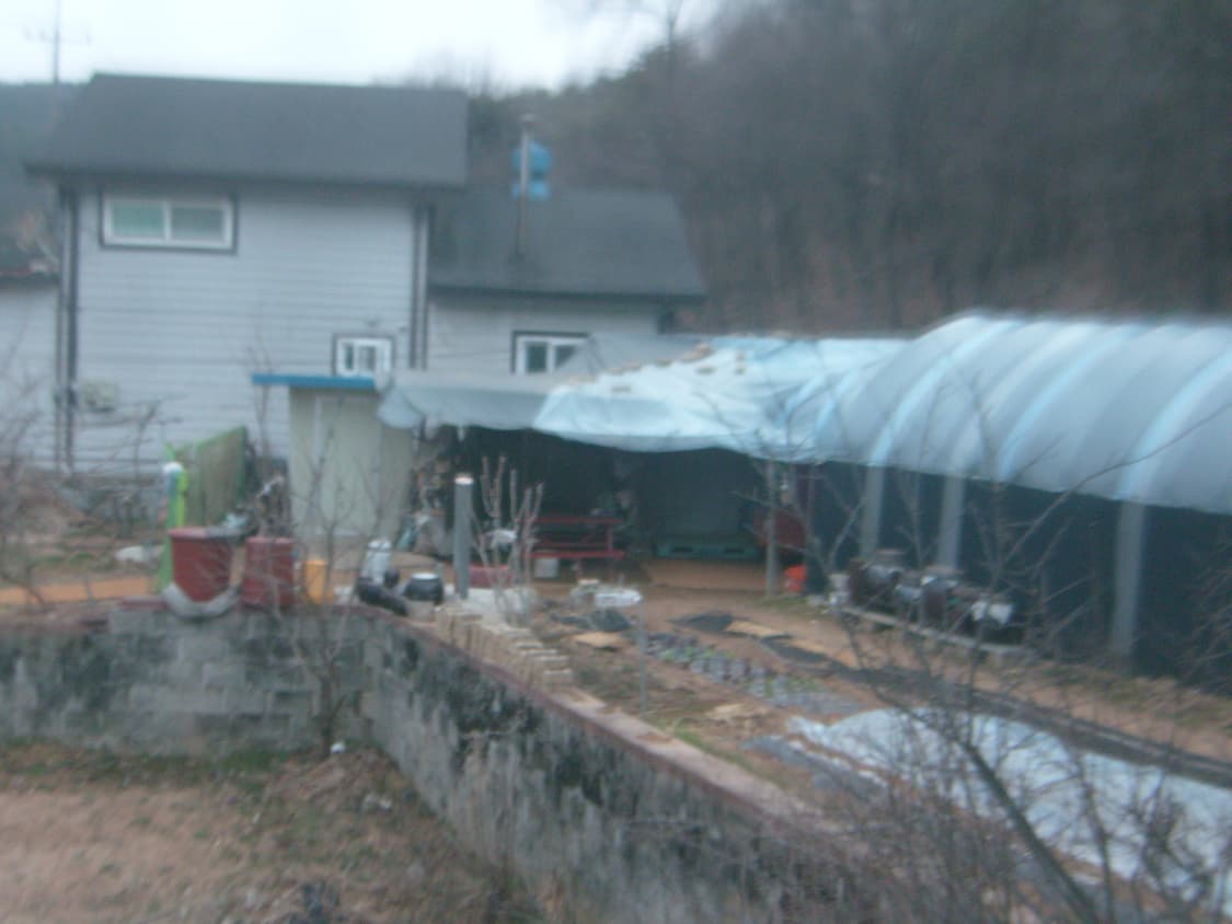 삼성 Samsung KENOX S730 레드 상품이미지3