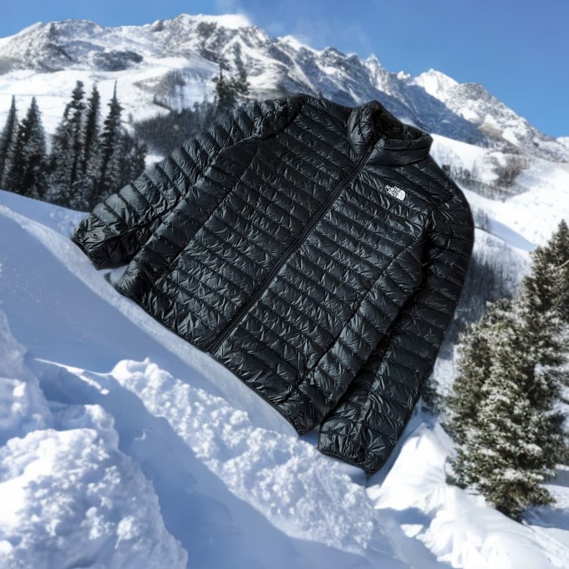 노스페이스 신형 초경량패딩 RDS (L) 고프코어 상품이미지2