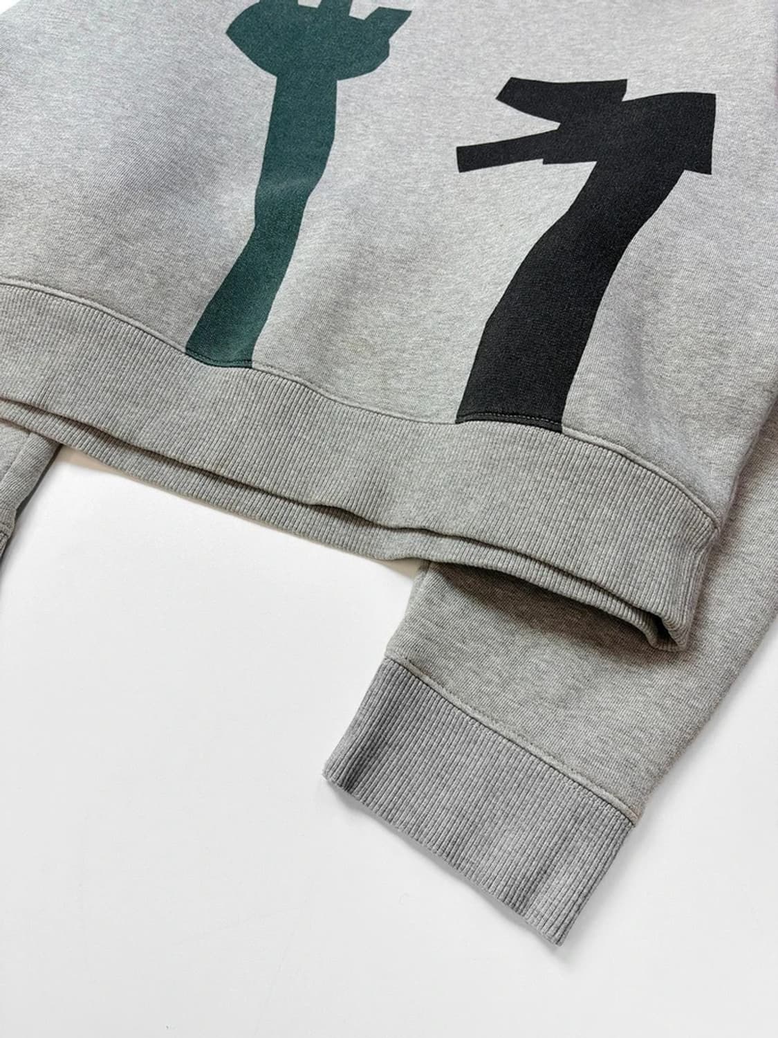 아크네스튜디오 버드 플라워 그래픽 크롭 맨투맨 PN5328 상품이미지4