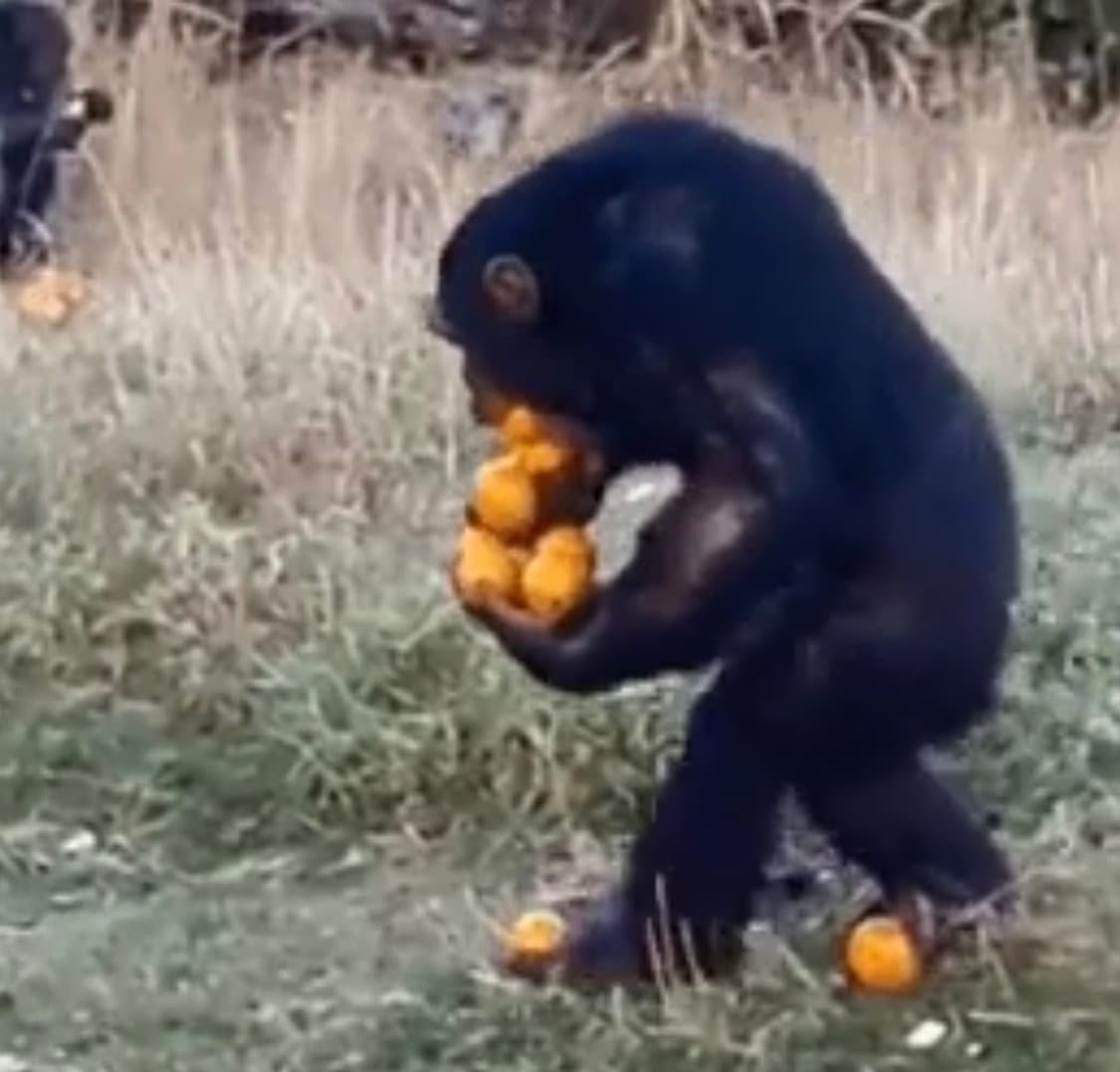 크롬하츠 무테안경 아무거나 삽니다 상품이미지1