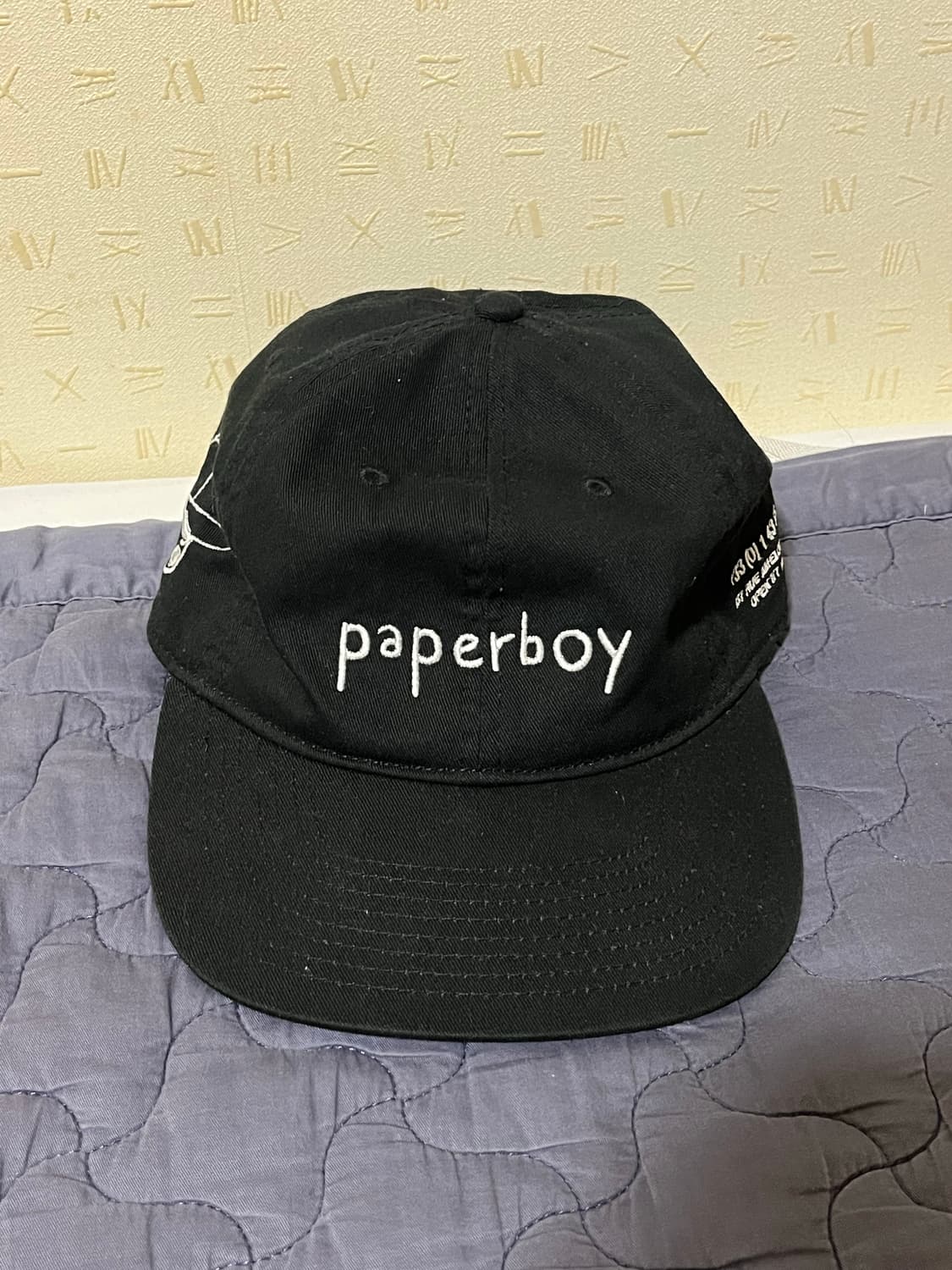 페이퍼보이 paperboy 도쿄 한정 볼캡 모자 상품이미지2