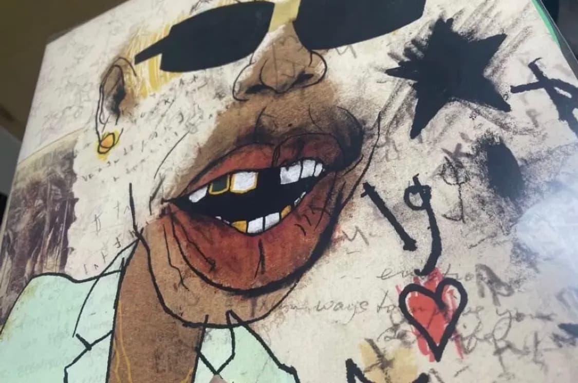 타일러 더 크리에이터 igor 한정반 크로마코피아 초판 상품이미지2