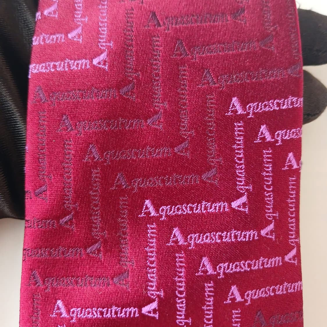 아쿠아스큐텀 실크 로고 자카드 넥타이 8.7cm A+등급 A19114
 상품이미지6