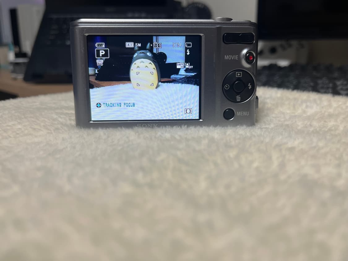 📸 소니 SONY DSC-W810 디카 판매합니다! 📸 상품이미지8