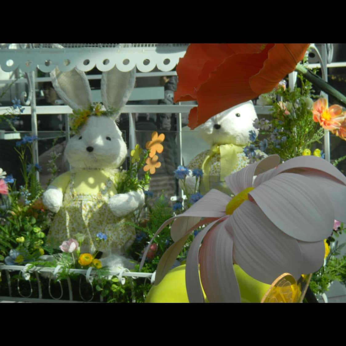 작례⭕️ 니콘 쿨픽스 S1100PJ 빔프로젝터 내장/ 소프트스킨 ✨ 상품이미지9