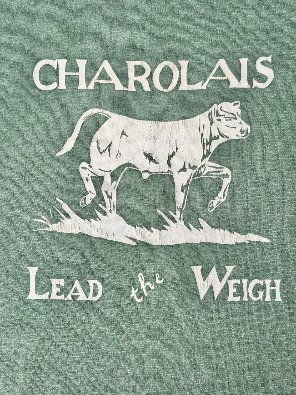 USA 70-80s 싱글스티치 샤롤레 그린 링거 티셔츠 상품이미지3