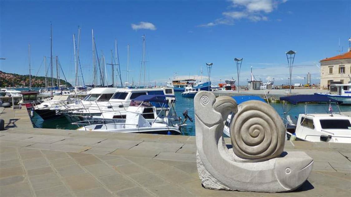 Rollei dr5 (롤라이 dr5) 상품이미지8