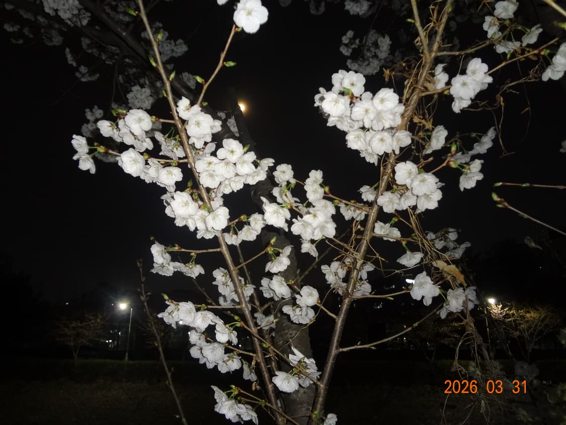 미연 디카🎀 소니 사이버 샷 cyber shot wx7 상품이미지2