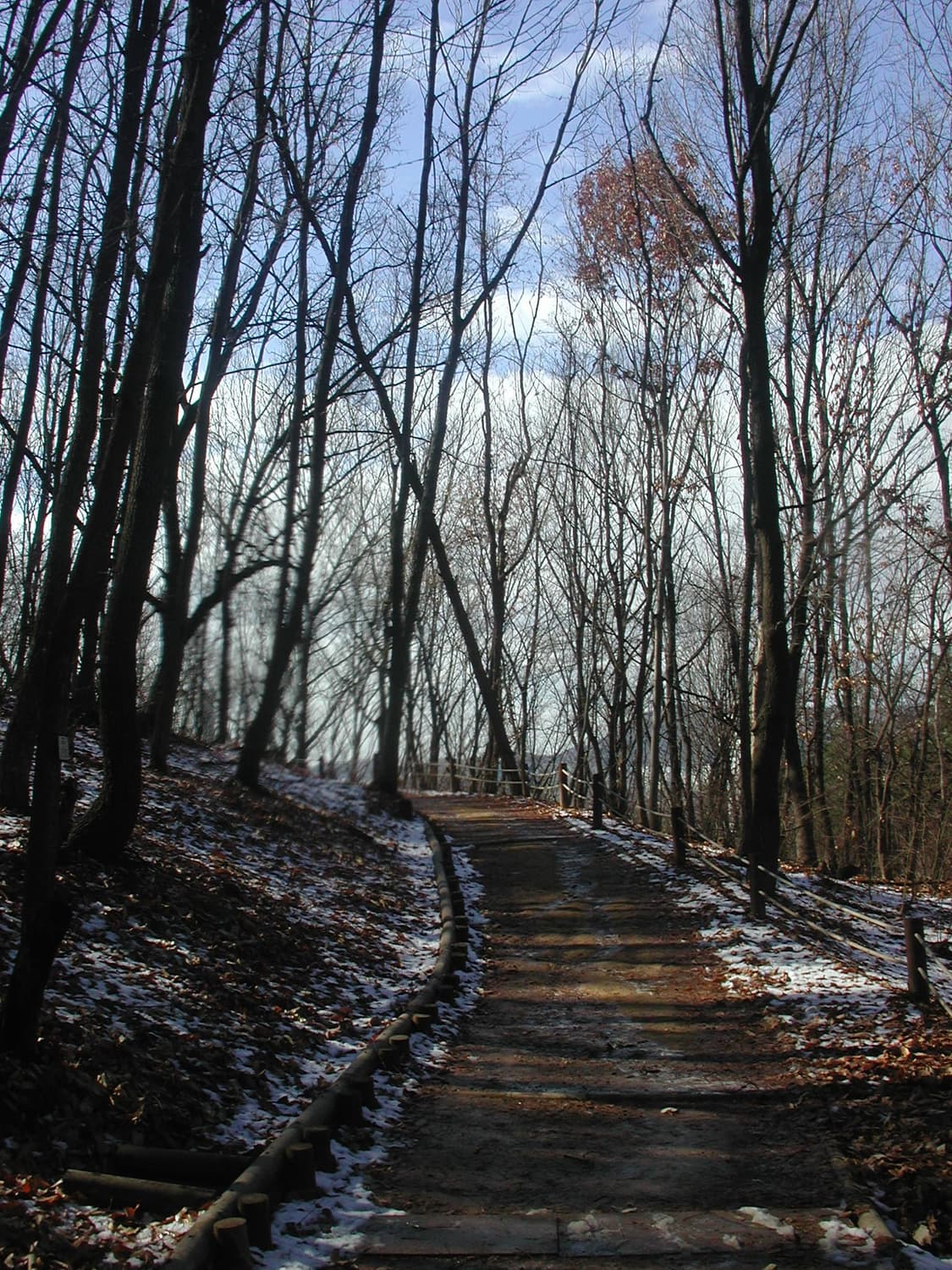 니콘 쿨픽스880 빈티지 디카(작례o) 상품이미지9