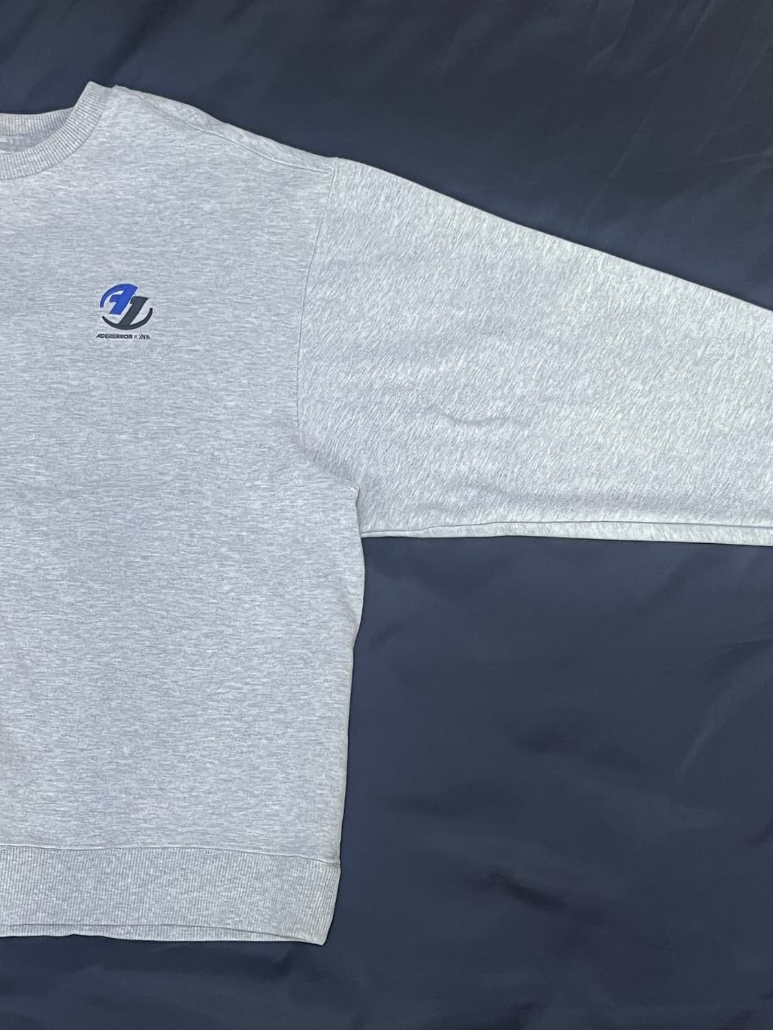 자라 x 아더에러 스웻셔츠 맨투맨 그레이 (S-M) 상품이미지3