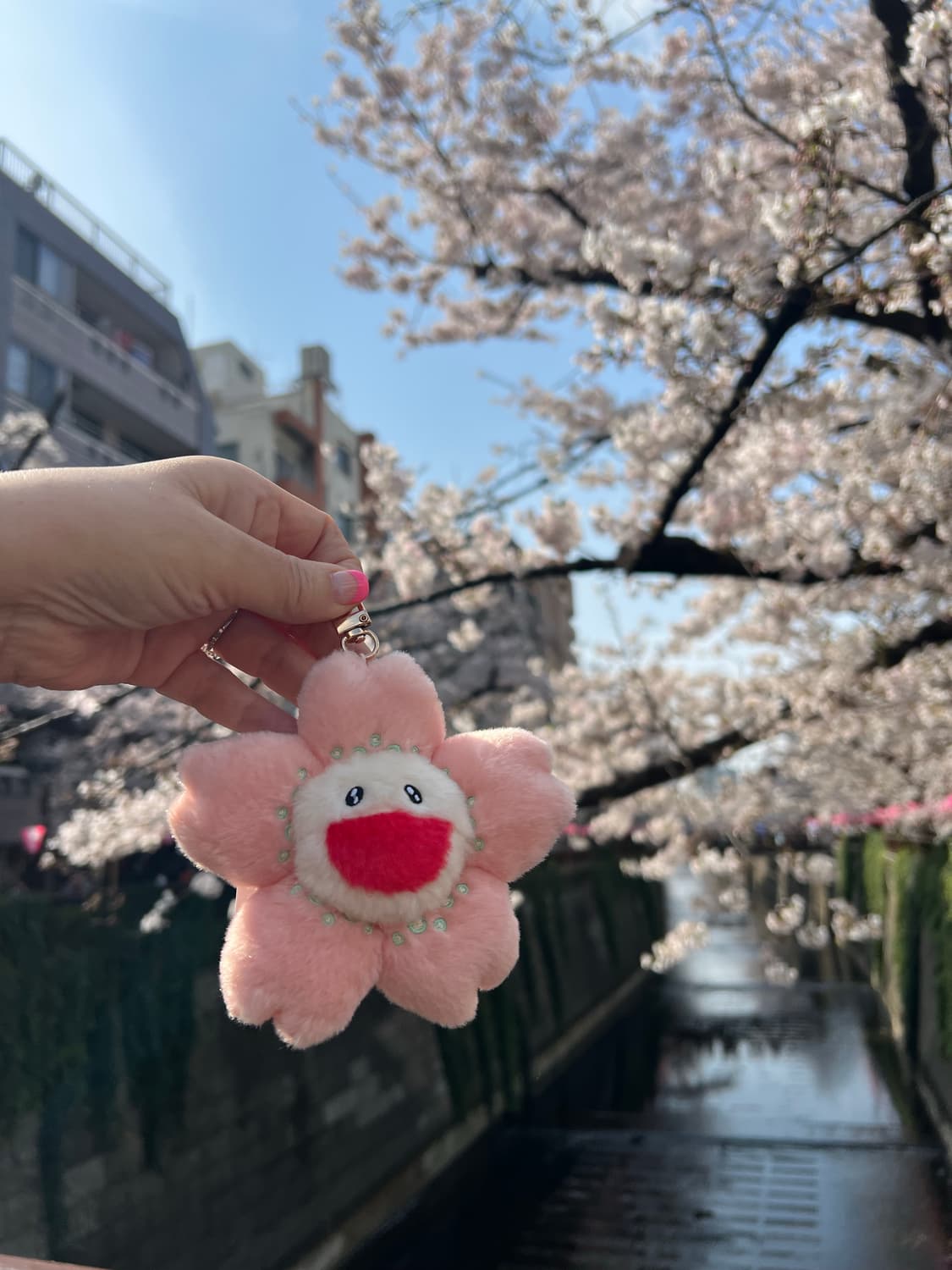 벚꽃 카이카이키키 키링 사쿠라카이카이키키 무라카미타가시 상품이미지1