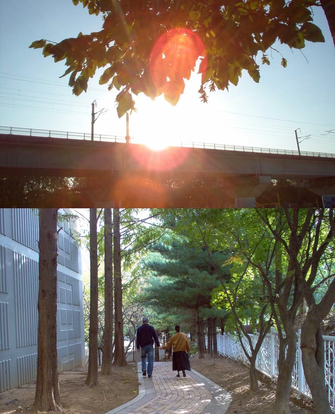 Hp 포토스마트 435 디지털카메라 상품이미지10