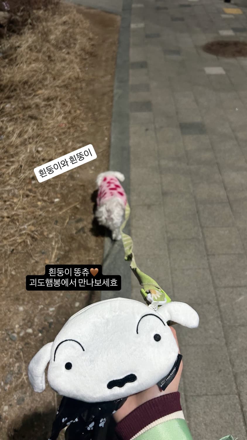 흰둥이 똥츄 풉백 상품이미지3
