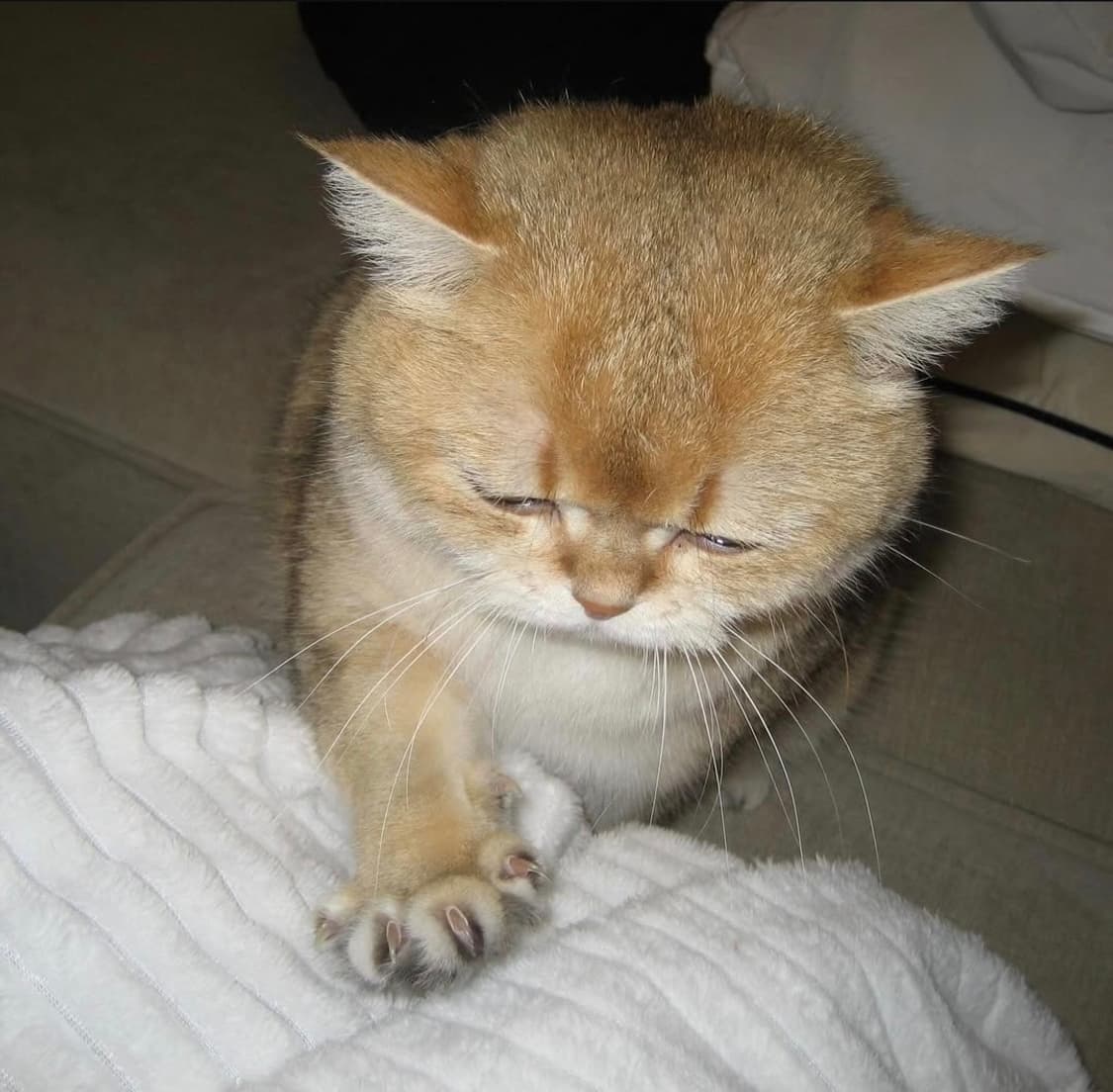 🍑인플루언서 픽✨ 캐논 IXY 70( IXUS 60)✨
유하 카메라 상품이미지8