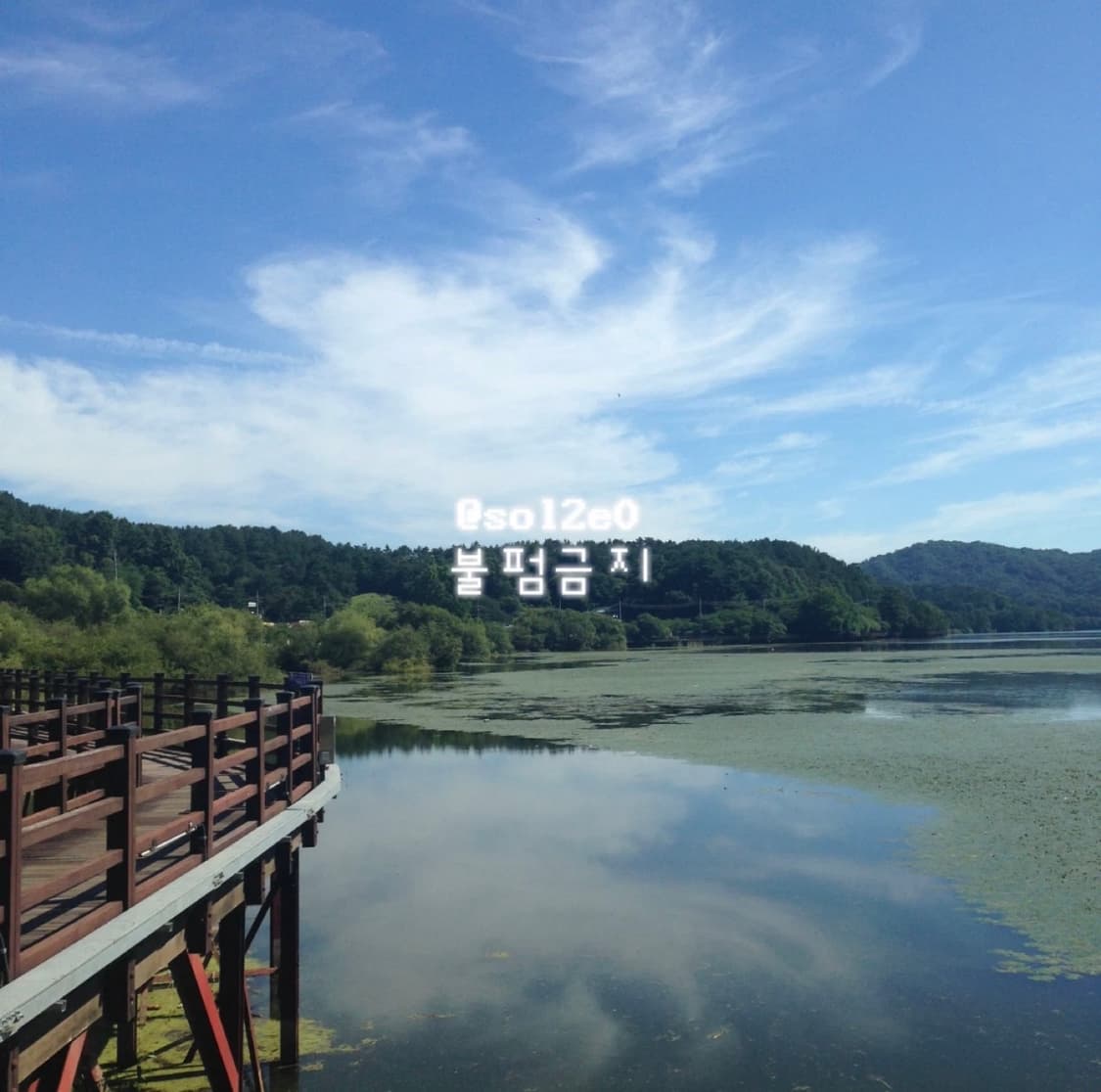 아이폰 5c 32GB 화이트 일본판 [희귀] 상품이미지8