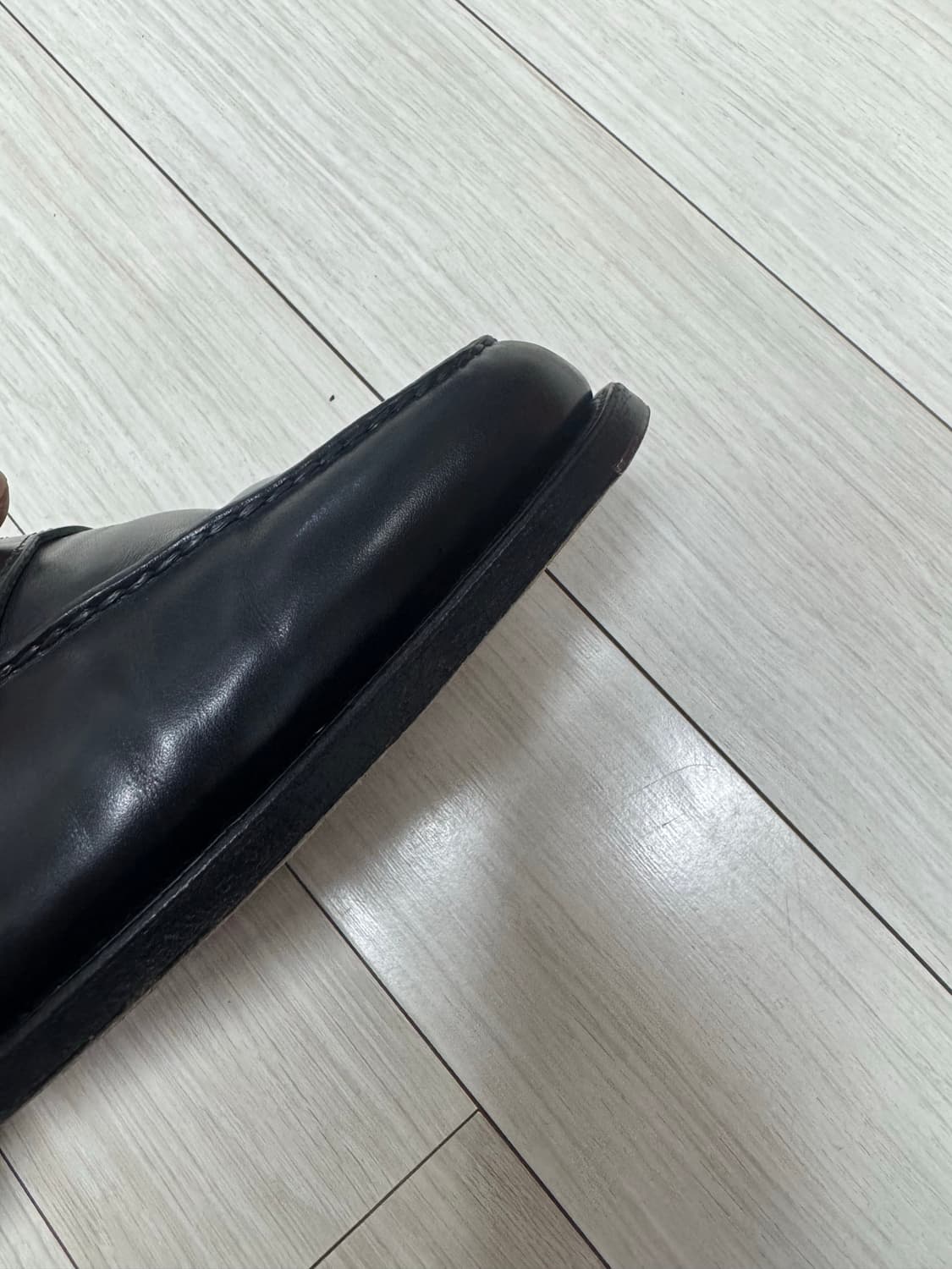 존롭 로페즈 상품이미지2