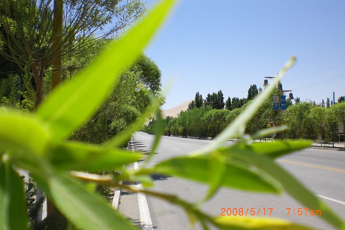 카시오 엑슬림 EX-Z8 빈티지 디카 판매합니다 상품이미지8