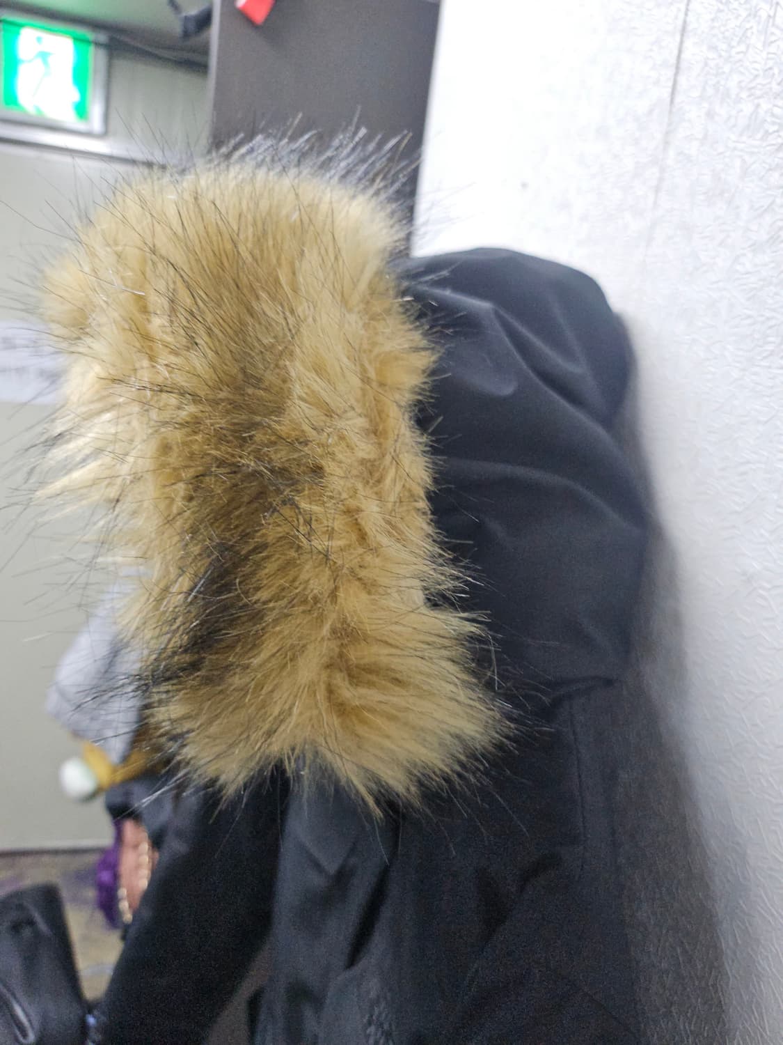 노스페이스 블랙  후두퍼 구스 맥머도패딩  95 상품이미지2