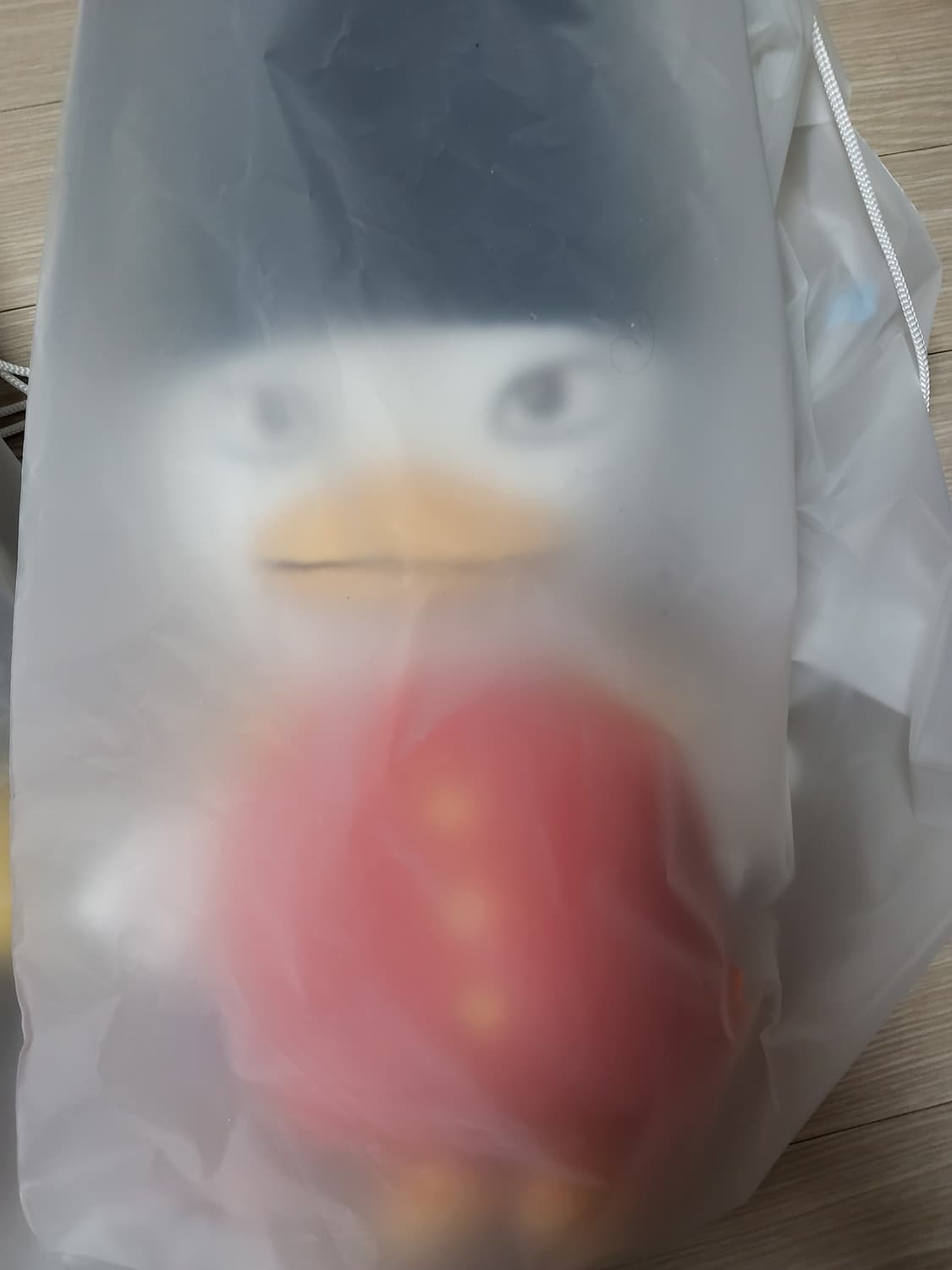 라이즈 소희 똘병이 40cm 인형 새상품 상품이미지2