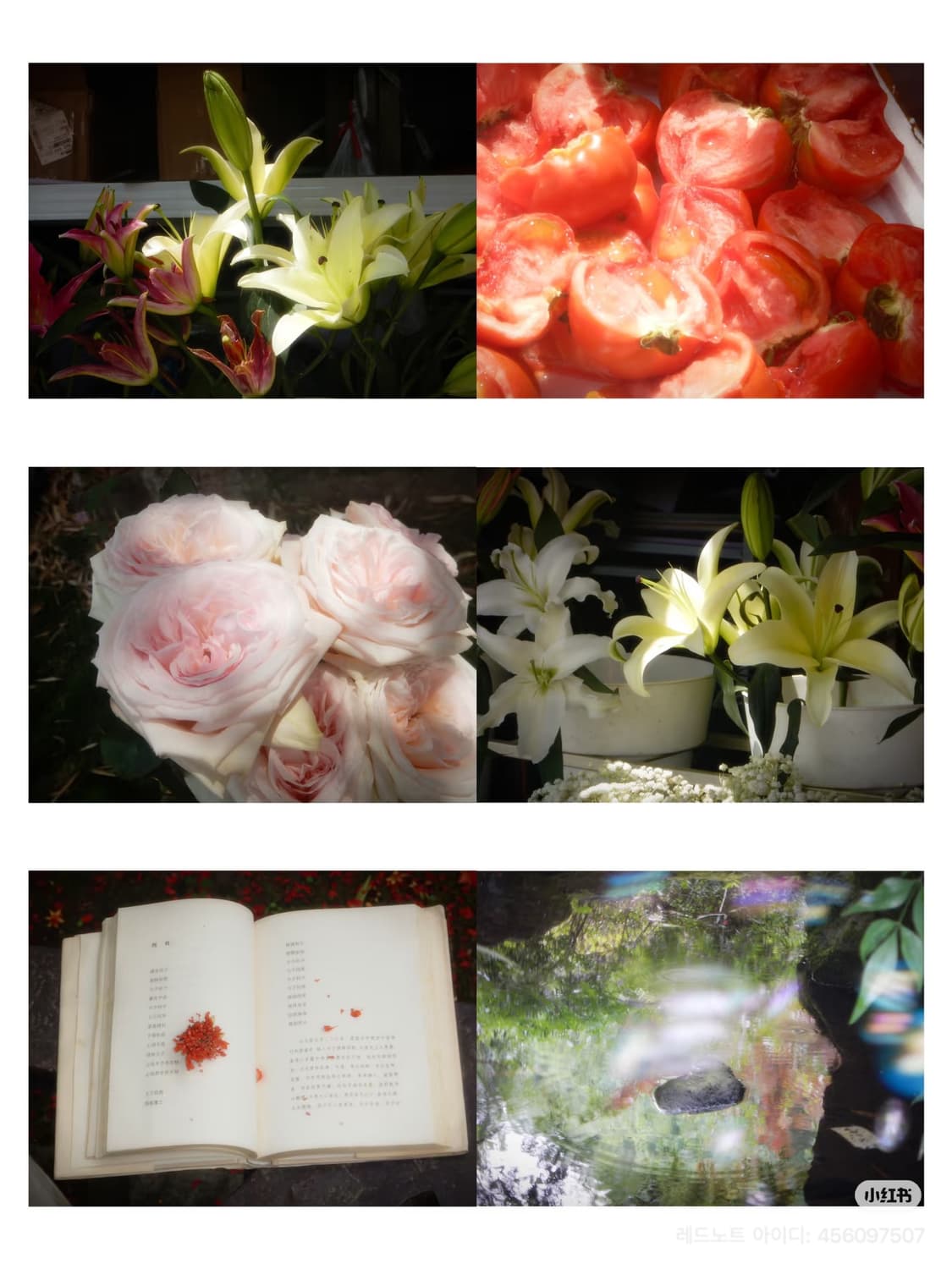 풀셋!)Nikon Coolpix aw110 니콘 쿨픽스 블루 aw100 상품이미지4