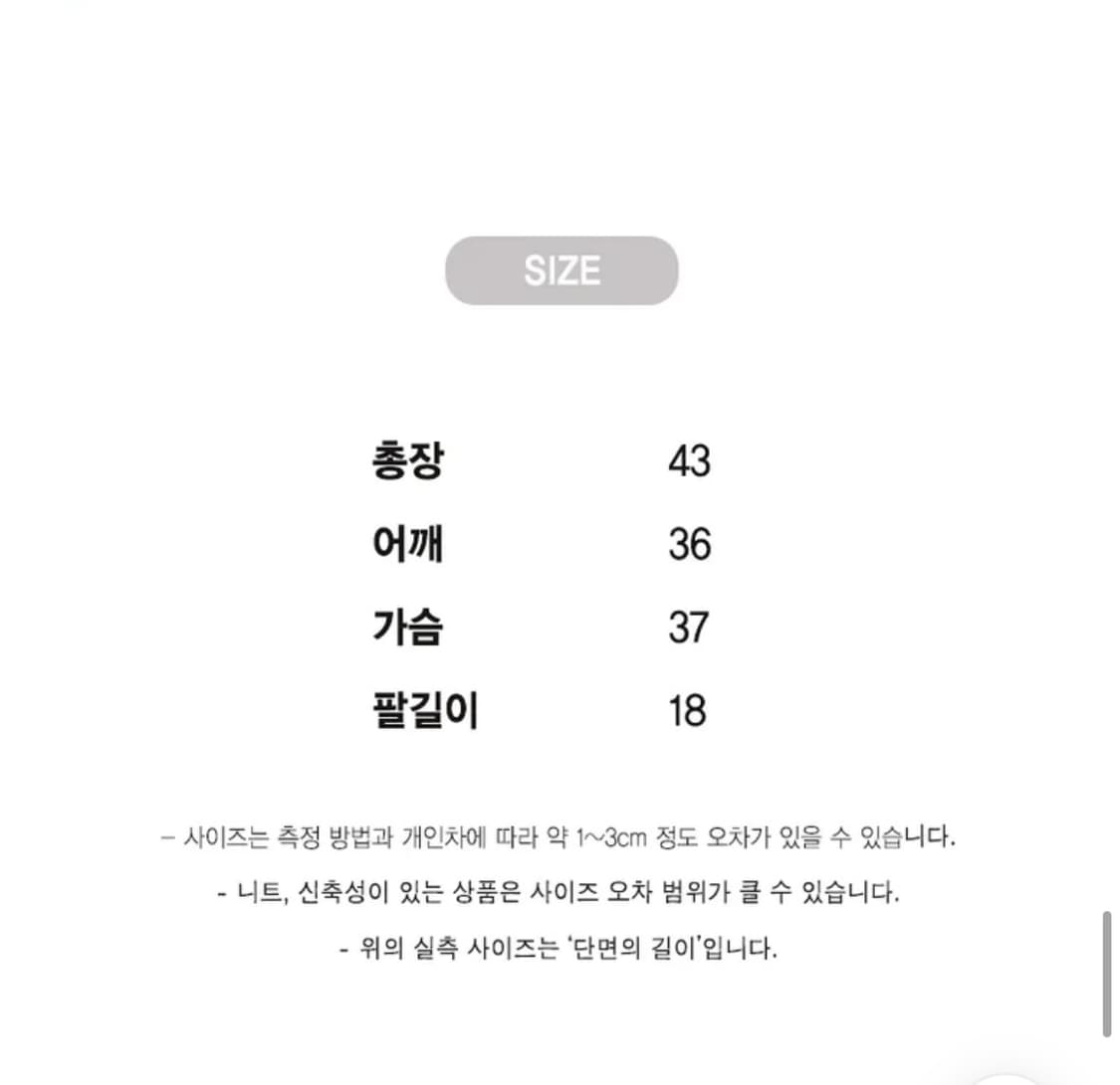 레인보우 여름 반팔 상품이미지5