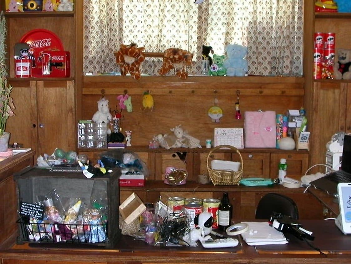 Nikon coolpix 2500 니콘 쿨픽스 2500  황조지 디카 상품이미지7