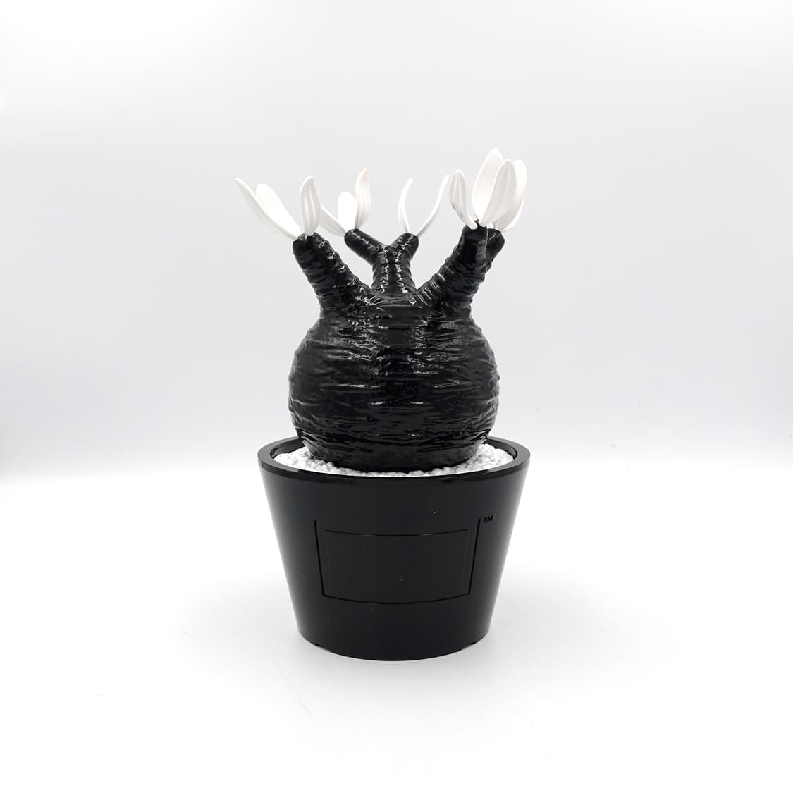 BOTANIZE 보타나이즈 메디콤토이 블랙 화이트 화분 아트토이 상품이미지3