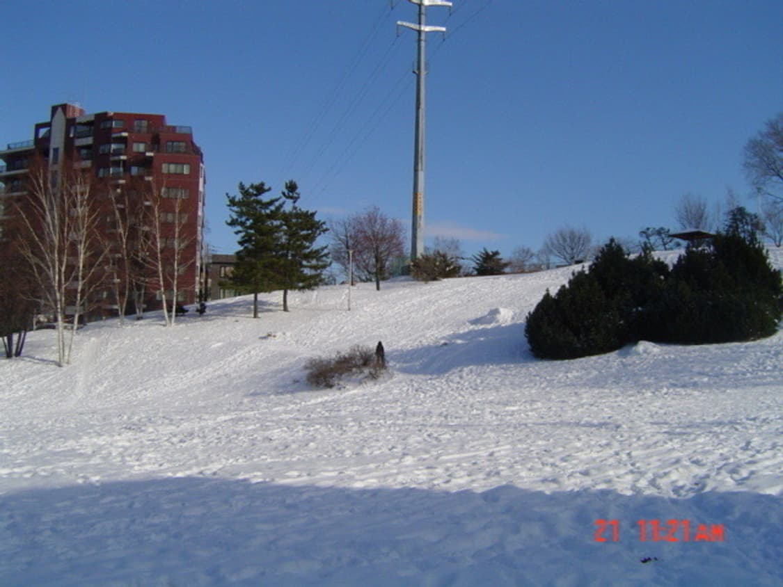 소니 사이버샷 Sony Cyber-shot DSC-P73 실버 상품이미지2