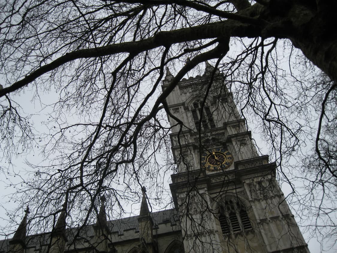 캐논 파워샷 a3000is 빈티지디카 상품이미지4