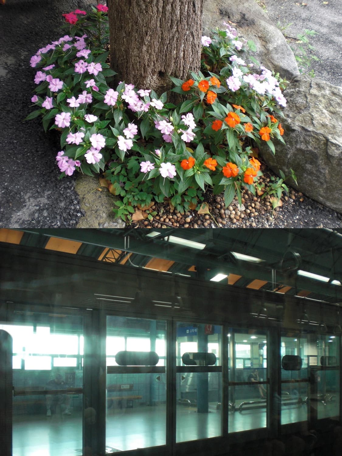 🌺 카시오 엑슬림 EX-Z80 🌺 빈티지 디카 상품이미지10