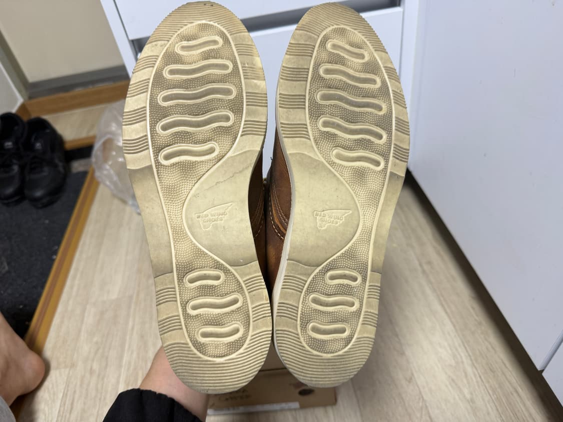 레드윙 처카부츠 3137 11.5 상품이미지5