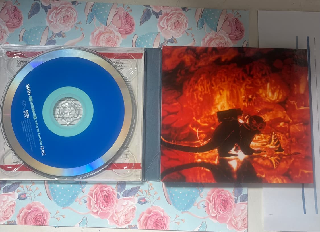 Nirvana-Nevermind [Deluxe Edition] 20주년 상품이미지2