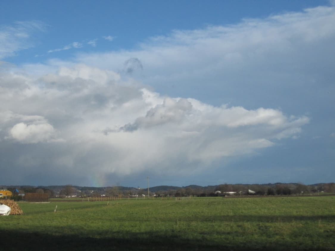 캐논 익서스 Canon IXUS 110 IS 골드(익시 510) 상품이미지5