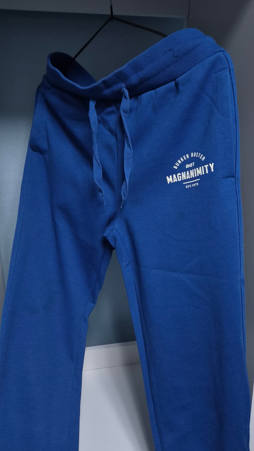 핀터무드 블루 트레이닝 팬츠 상품이미지2