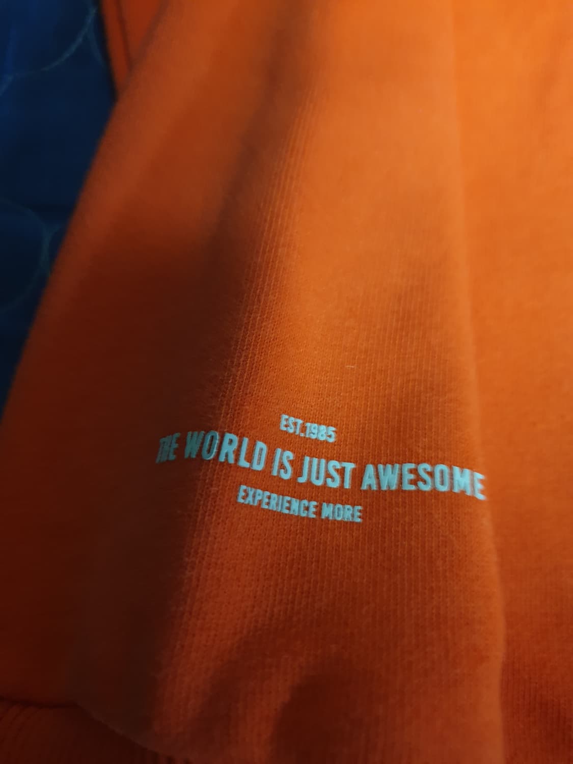 디스커버리 볼륨로고 맨투맨 브릭오렌지 (90, 95) 상품이미지3