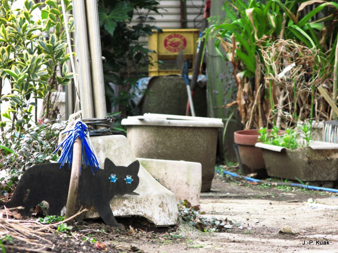 캐논 파워샷 Canon PowerShot G7 블랙 상품이미지5