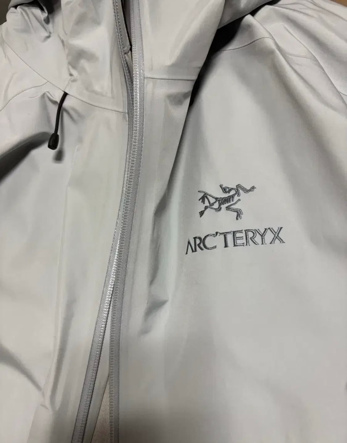 아크테릭스 베타 LT   L 사이즈 루센트 상품이미지3