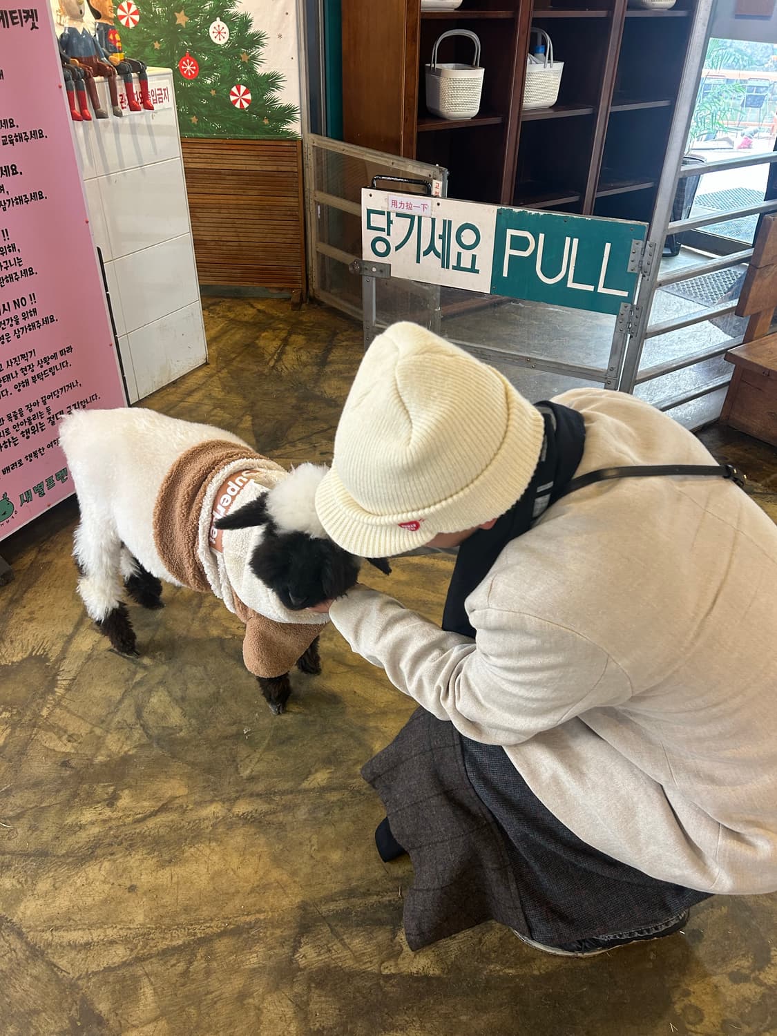 휴먼메이드 오슬로 캡 상품이미지3