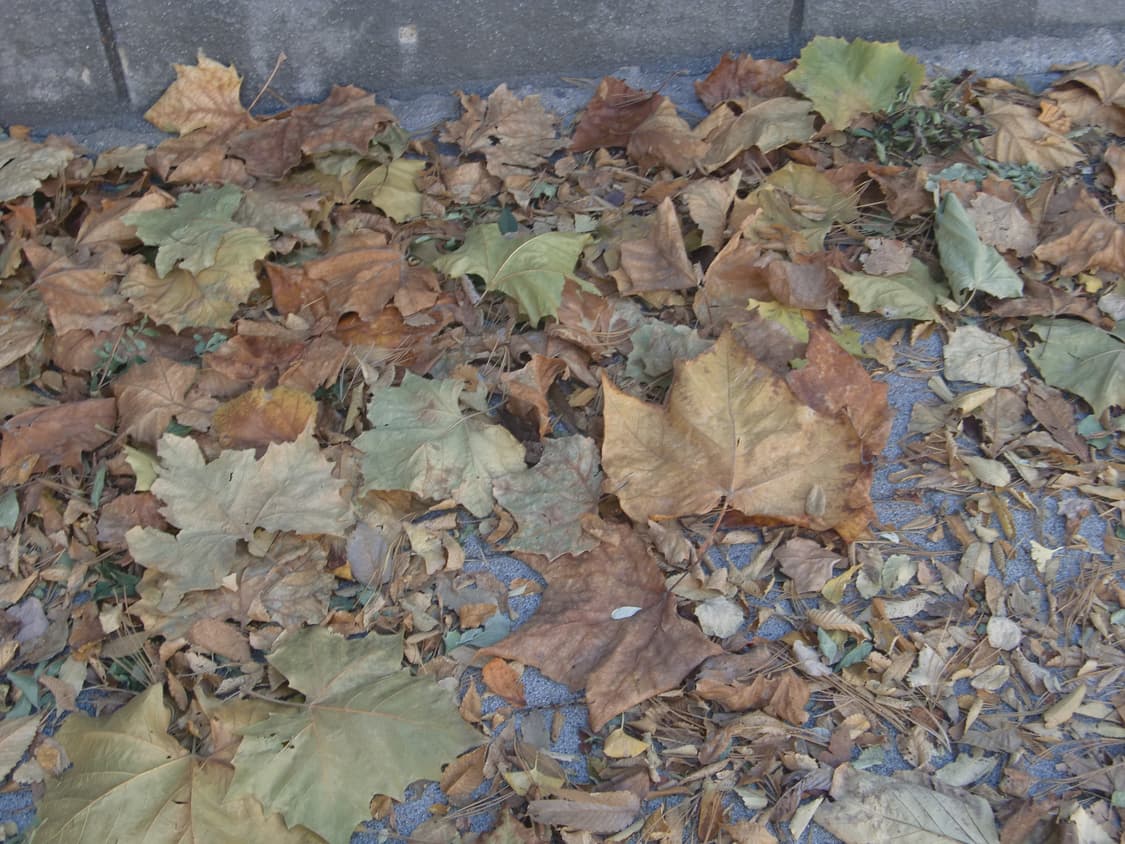 카시오 exilim z400 핑크 (작례o) 상품이미지9