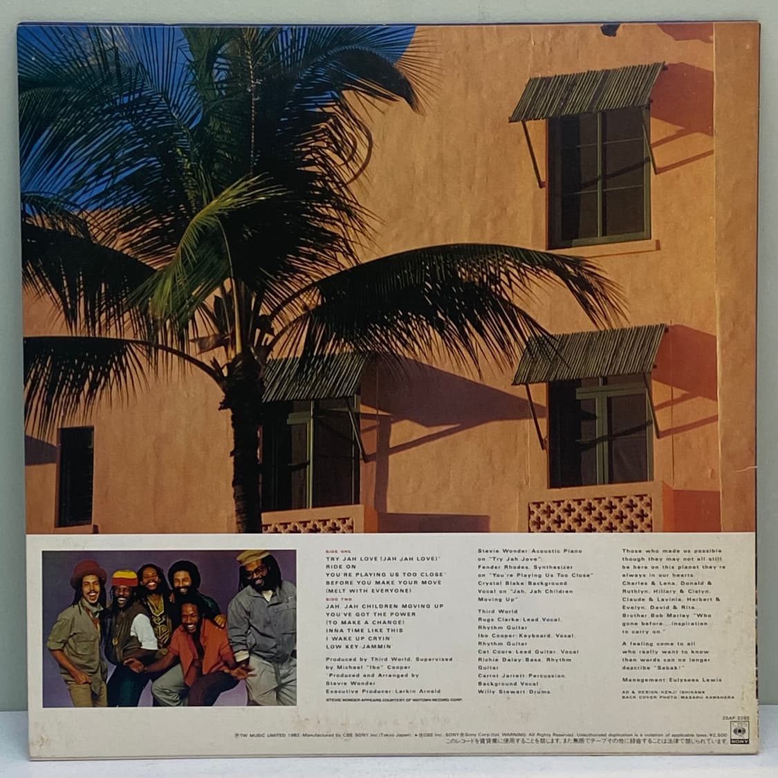 (LP) Third World -You've Got The Power 상품이미지2