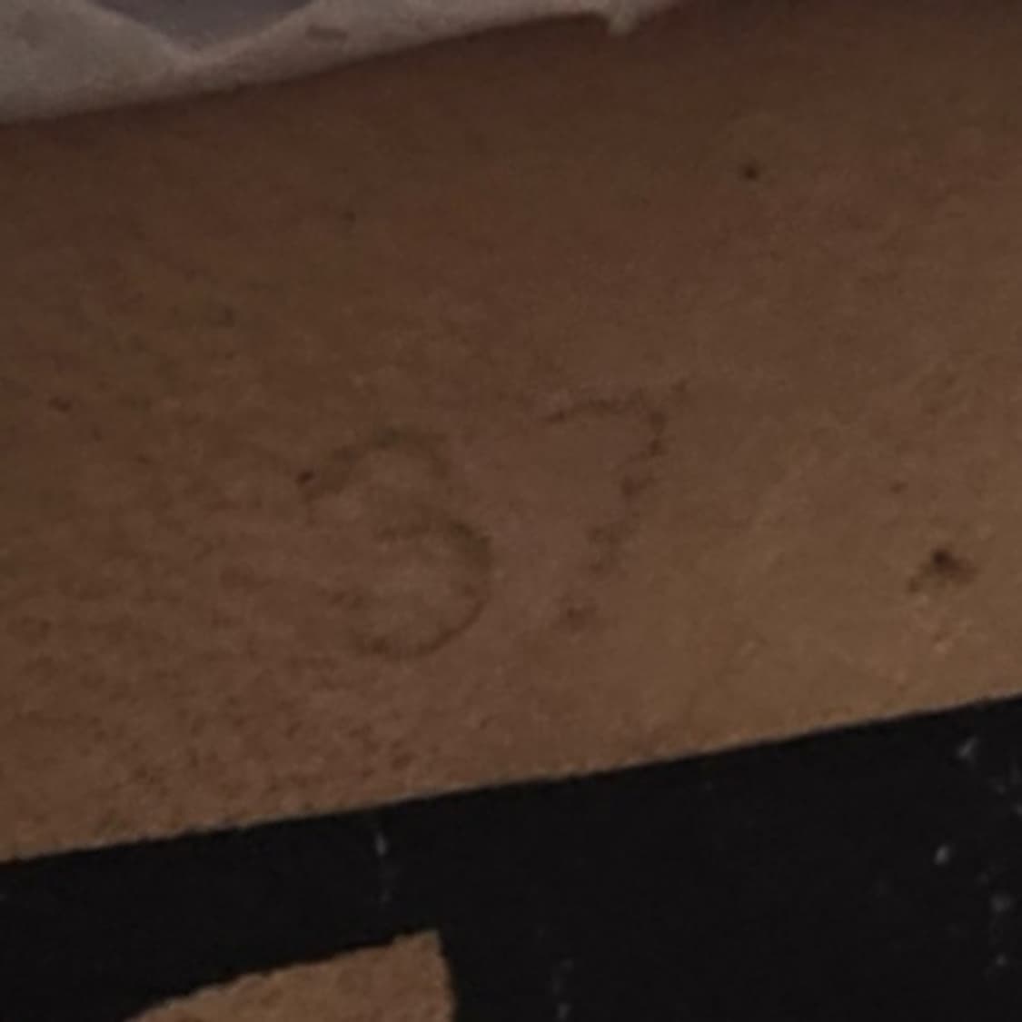 골든구스 스니커즈 37 240-245 상품이미지6