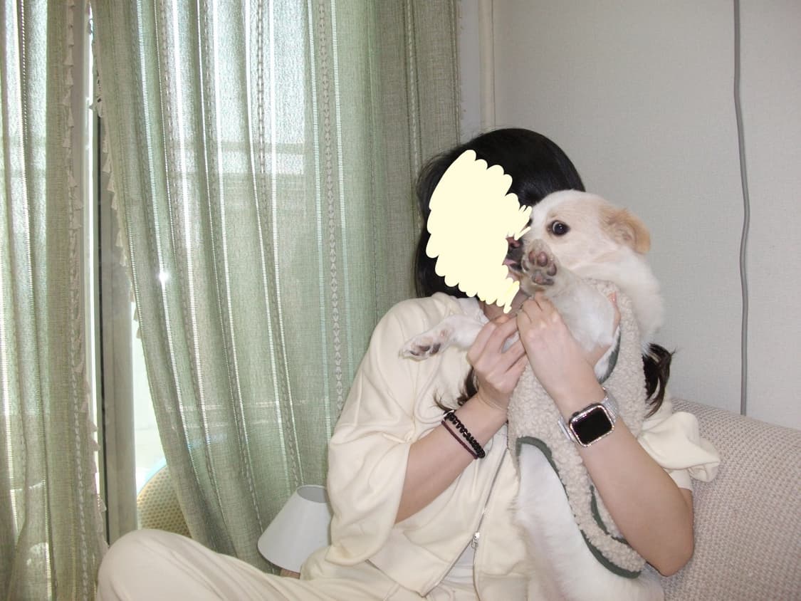 후지필름 파인픽스 디카 a170 디지털 카메라 상품이미지9