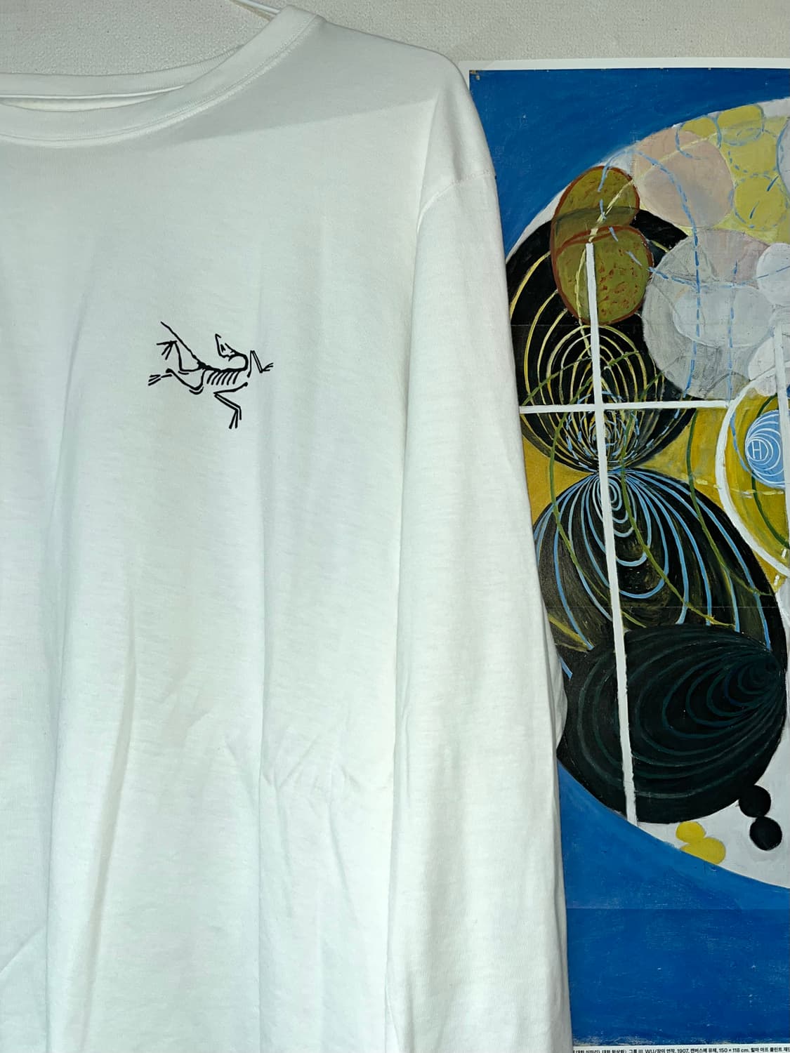 아크테릭스 아크멀티 버드 로고 롱슬리브 티셔츠 화이트 라이트 상품이미지3