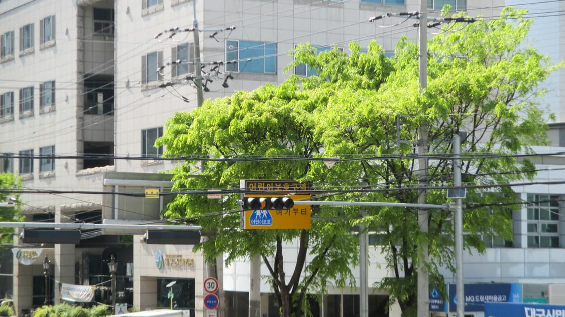 (새상품급) 캐논 ixy 130 상품이미지10