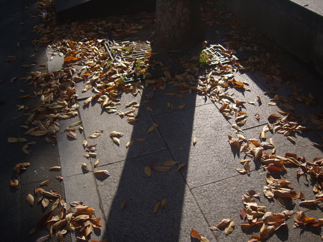 삼성 케녹스s1030디카 상품이미지6