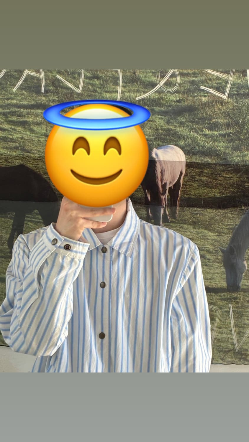 스투시 자켓  팝니다 상품이미지5